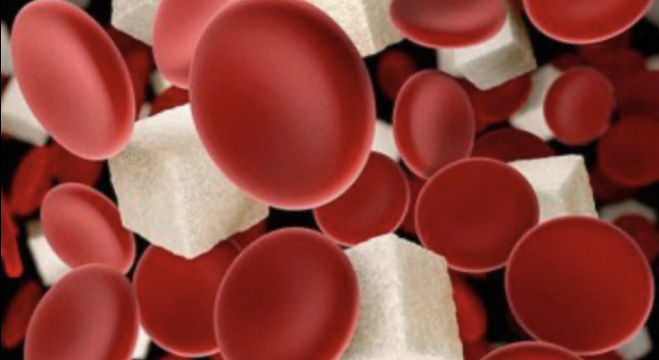 Makan Siang Sehat: Menu Praktis untuk Mengontrol Diabetes